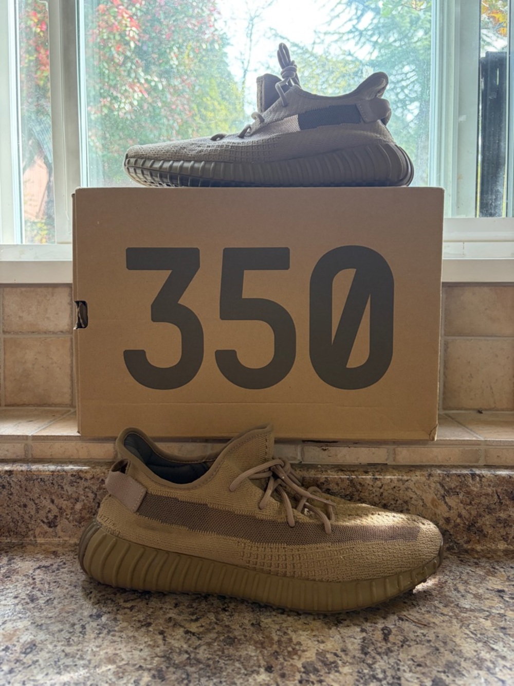 Yeezy 350 Earth